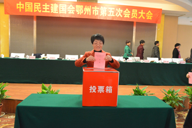 2、副市长、市委主委程少云投票.JPG